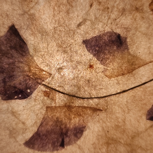 Hand made paper - Picture 3 of 6